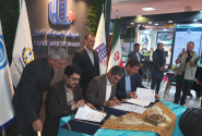 امضای تفاهم نامه ساخت کشتی و نفتکش بین کشتی سازان ایرانی